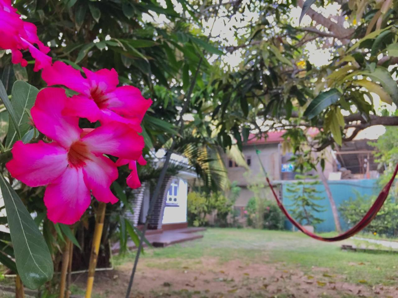 Cozy Cottage-Tangalle Εξωτερικό φωτογραφία